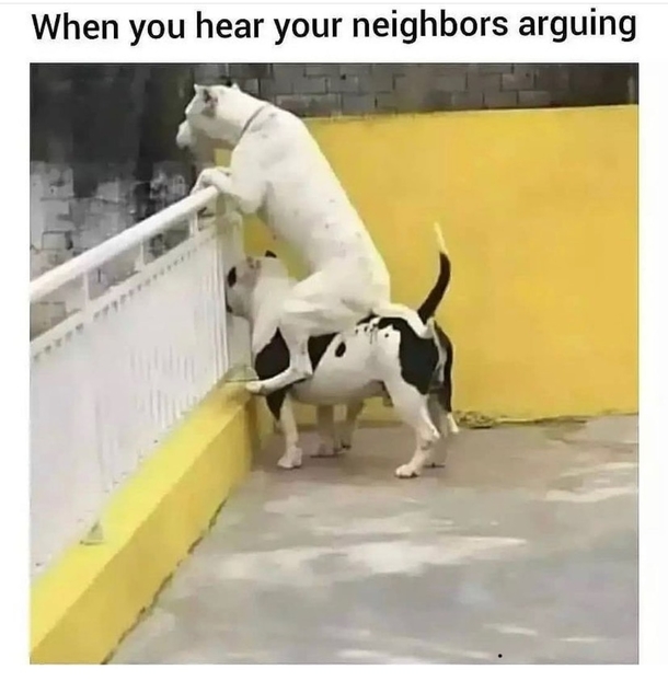 10 Hilariously Funny Memes Of The Day - picture 3