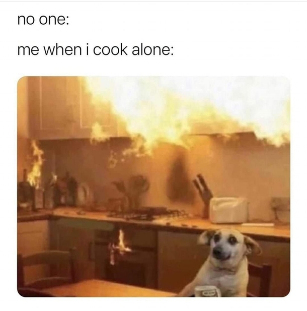 10 Hilariously Funny Memes Of The Day - picture 8