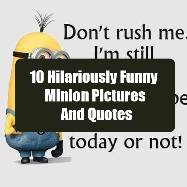 10 Hilariously Funny Minion Pictures And Quotes