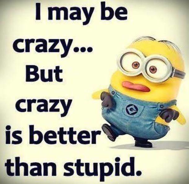 10 Hilariously Funny Minion Pictures And Quotes - picture 2