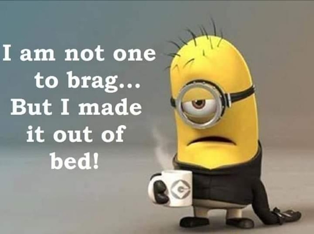 10 Hilariously Funny Minion Pictures And Quotes - picture 3
