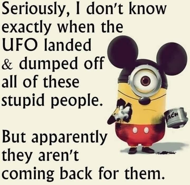 10 Hilariously Funny Minion Pictures And Quotes - picture 5