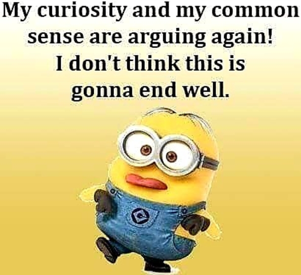 10 Hilariously Funny Minion Pictures And Quotes - picture 6