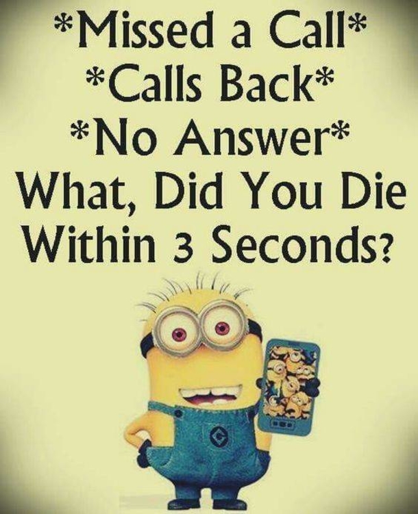 10 Hilariously Funny Minion Pictures And Quotes - picture 8