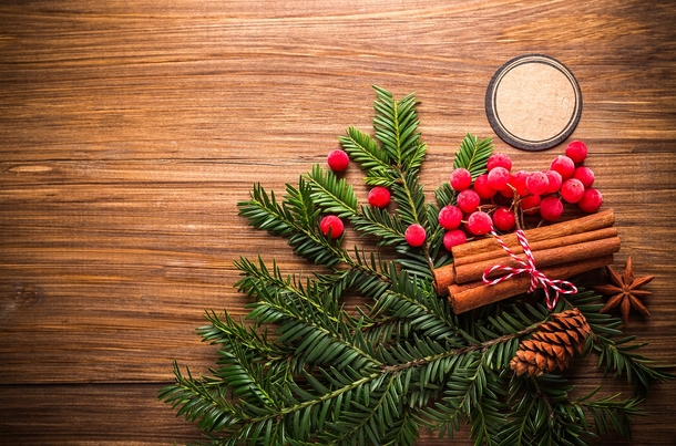 10 Holiday Christmas Background Themes - picture 6