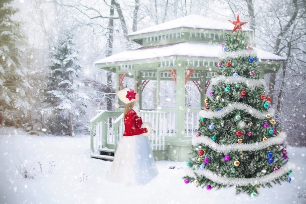 10 Holiday Christmas Background Themes - picture 7