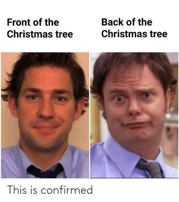 10 Holiday Memes To Bring You A Little Joy This Christmas - picture 7