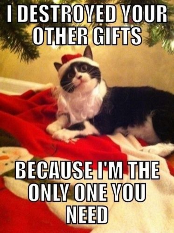 10 Holiday Memes To Bring You A Little Joy This Christmas - picture 8