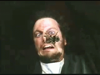 10 Home Alone Quotes / Gifs Just In Time For Christmas - picture 5