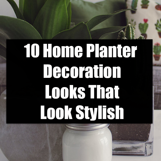 10 Home Planter Decoration Looks That Look Stylish