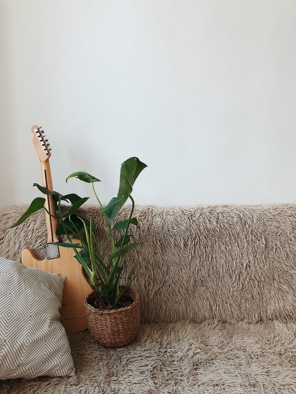 10 Home Planter Decoration Looks That Look Stylish - picture 10