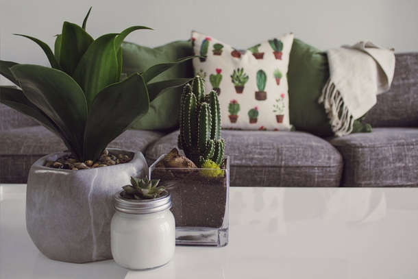 10 Home Planter Decoration Looks That Look Stylish - picture 3