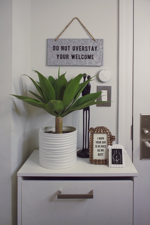 10 Home Planter Decoration Looks That Look Stylish - picture 6