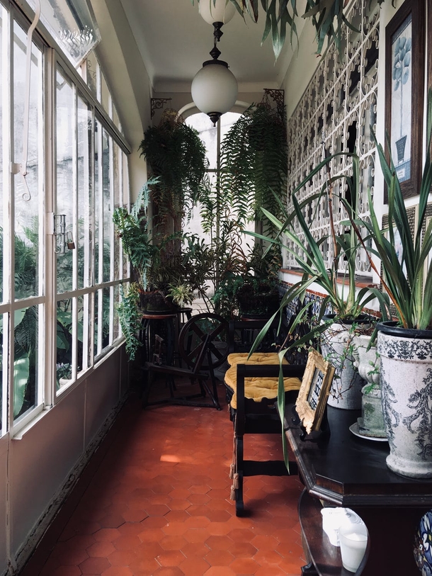 10 Home Planter Decoration Looks That Look Stylish - picture 8