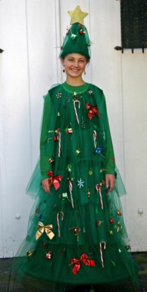 10 Homemade Christmas Costumes