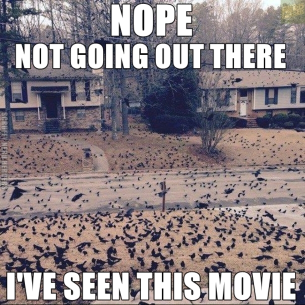 10 Humor Memes For The New Week - picture 2