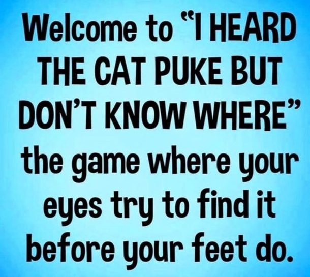 10 Humorous Jokes Of The Day - picture 8