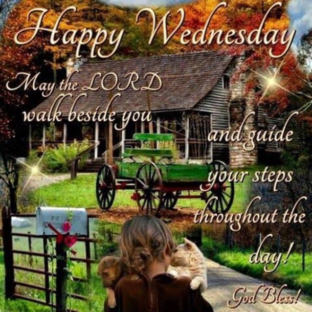 10 Humorous Wednesday Quotes And Sayings - picture 11