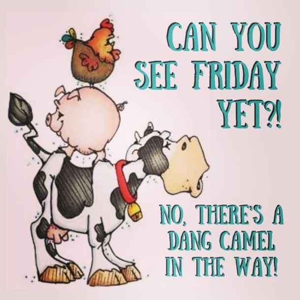 10 Humorous Wednesday Quotes And Sayings - picture 6