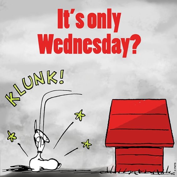 10 Humorous Wednesday Quotes And Sayings - picture 7