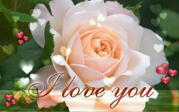 10 I Love You & Love Saying Quotes - picture 11