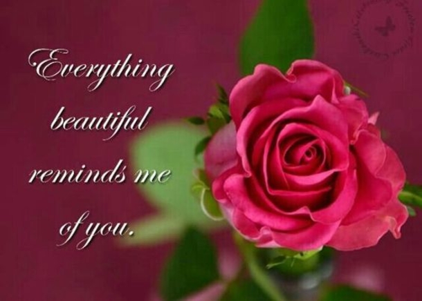 10 I Love You & Love Saying Quotes - picture 4