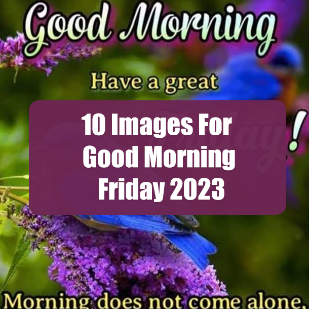 10 Images For Good Morning Friday 2023