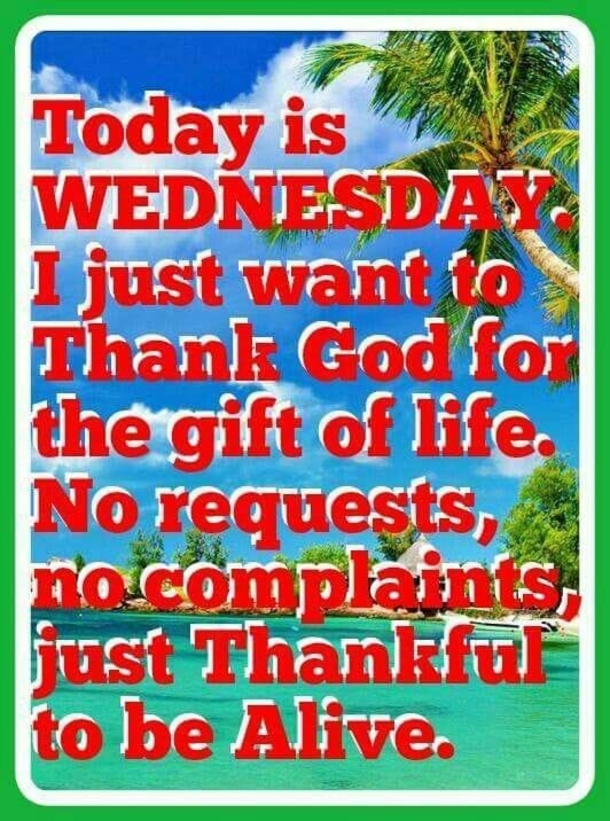 10 Images For Good Morning Wednesday (2023) - picture 8