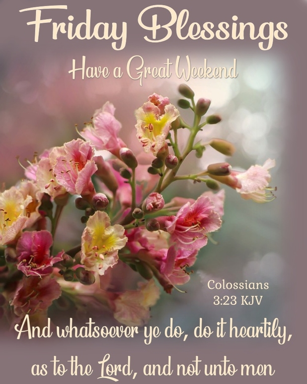 10 Incredible Friday Quotes & Images To Bless The Day - picture 10