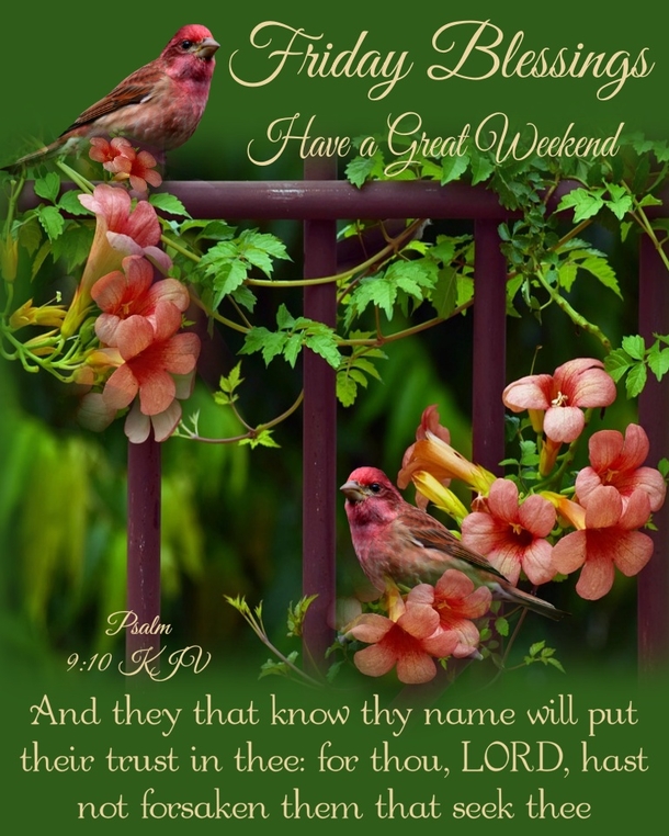 10 Incredible Friday Quotes & Images To Bless The Day - picture 8