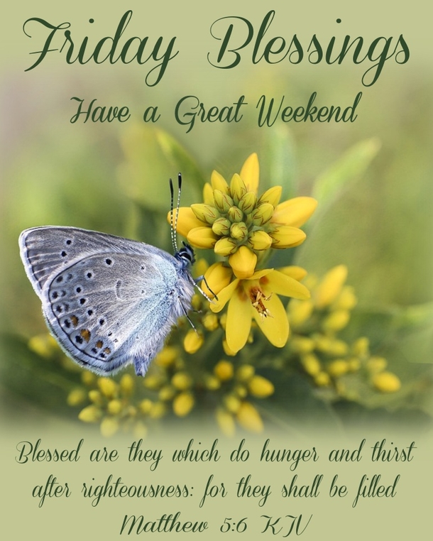 10 Incredible Friday Quotes & Images To Bless The Day - picture 9