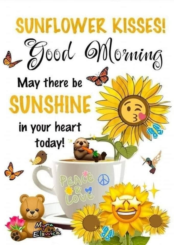 10 Incredible Good Morning Quotes! You Won't Believe the Positive Vibes They'll Bring! - picture 11