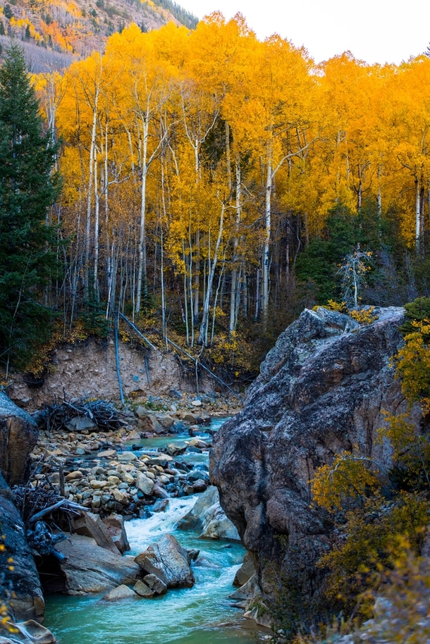 10 Incredible Scenic Fall Photography - picture 10