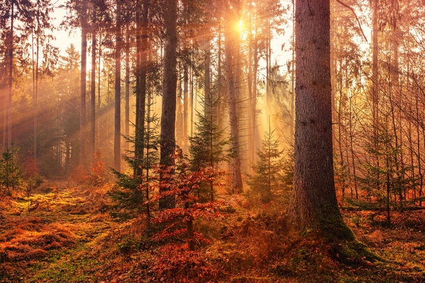 10 Incredible Scenic Fall Photography - picture 11