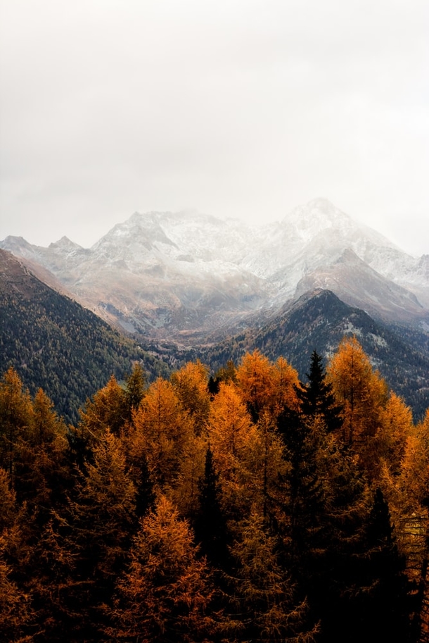 10 Incredible Scenic Fall Photography - picture 2