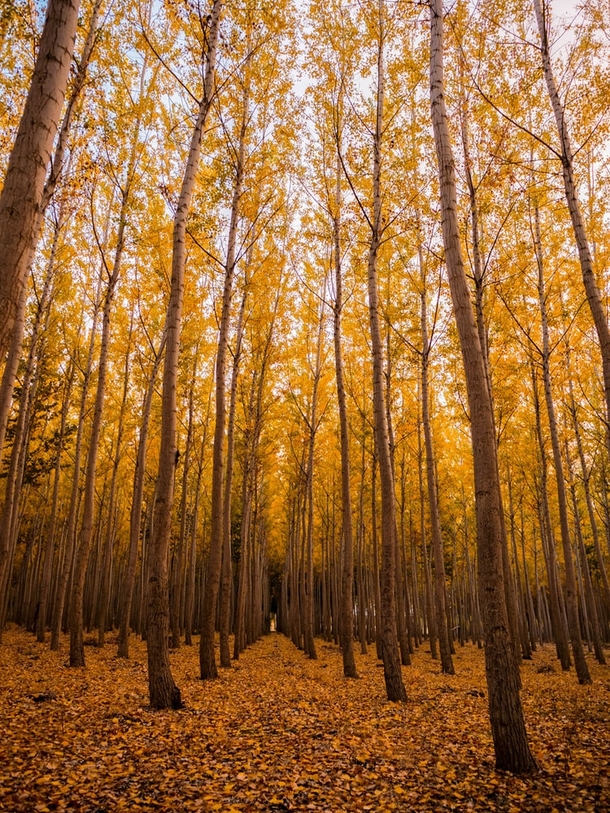 10 Incredible Scenic Fall Photography - picture 3
