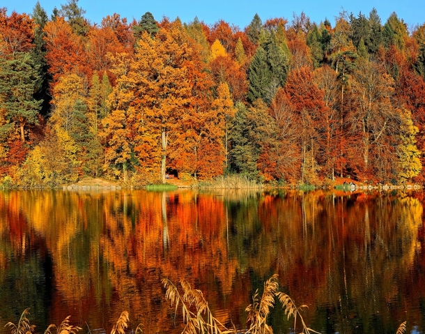10 Incredible Scenic Fall Photography - picture 4
