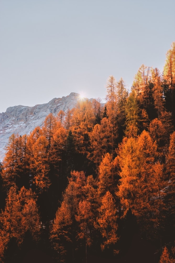 10 Incredible Scenic Fall Photography - picture 5