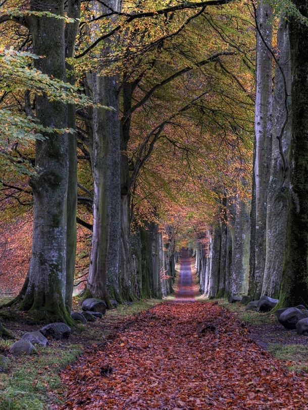 10 Incredible Scenic Fall Photography - picture 7