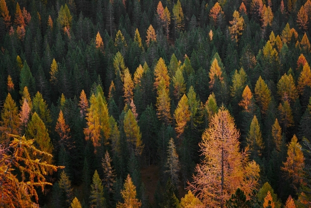 10 Incredible Scenic Fall Photography - picture 8