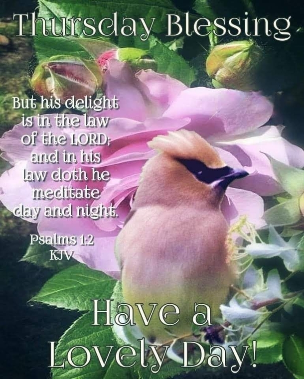 10 Incredible Thursday Blessings And Quotes - picture 9