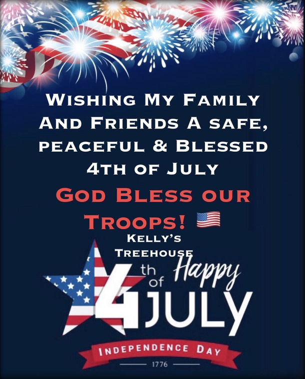 10 Independence Day Quotes In Honor Of Our Troops This 4th Of July - picture 2