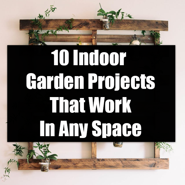 10 Indoor Garden Projects That Work In Any Space