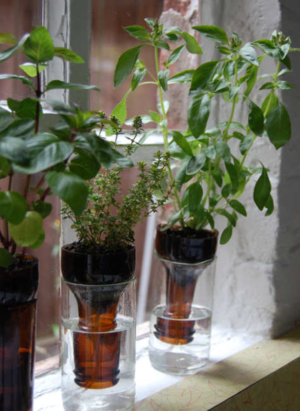 10 Indoor Garden Projects That Work In Any Space - picture 10