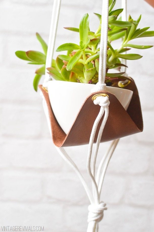 10 Indoor Garden Projects That Work In Any Space - picture 2