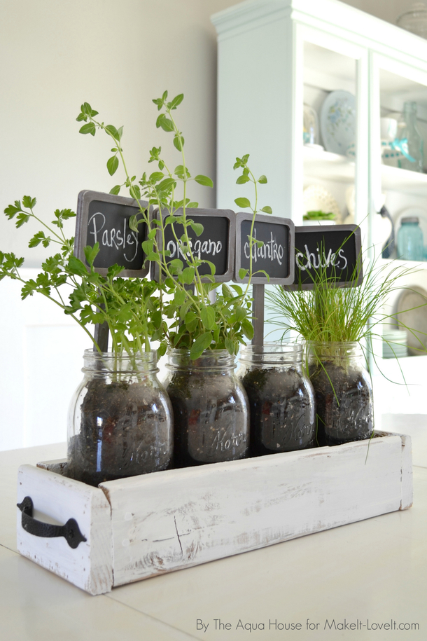 10 Indoor Garden Projects That Work In Any Space - picture 3