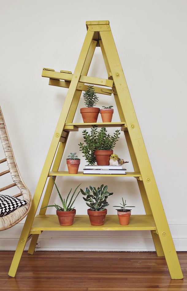 10 Indoor Garden Projects That Work In Any Space - picture 4