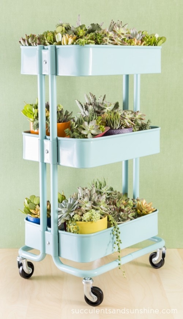 10 Indoor Garden Projects That Work In Any Space - picture 5