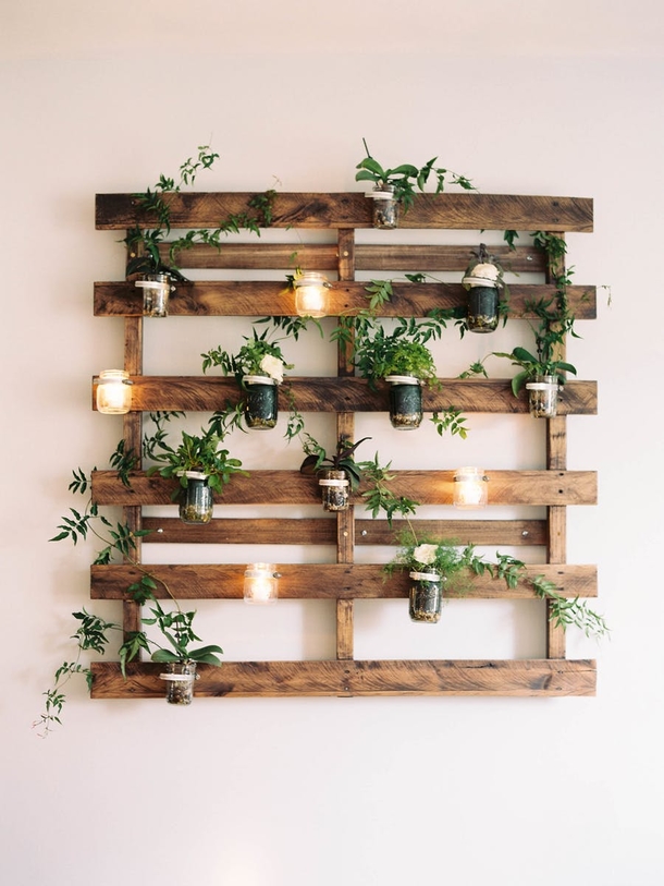 10 Indoor Garden Projects That Work In Any Space - picture 6