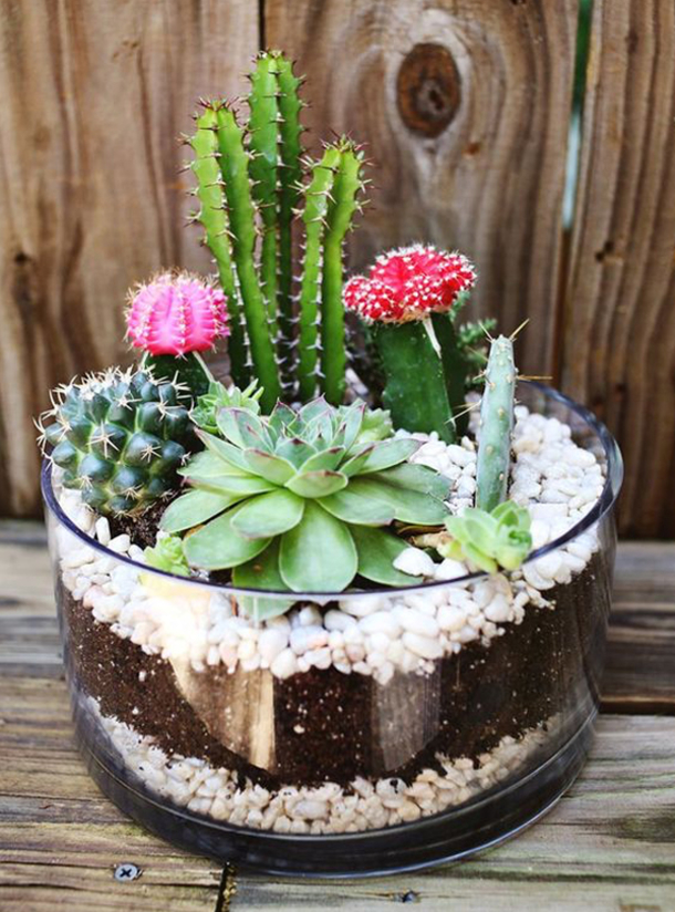 10 Indoor Garden Projects That Work In Any Space - picture 8